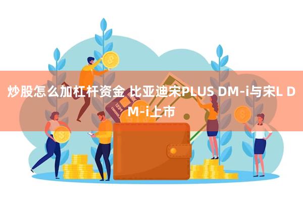 炒股怎么加杠杆资金 比亚迪宋PLUS DM-i与宋L DM-i上市