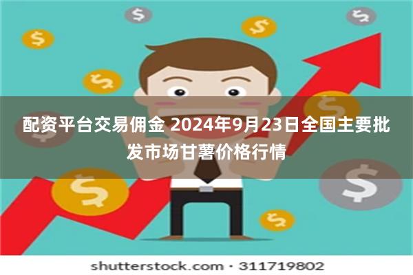 配资平台交易佣金 2024年9月23日全国主要批发市场甘薯价格行情