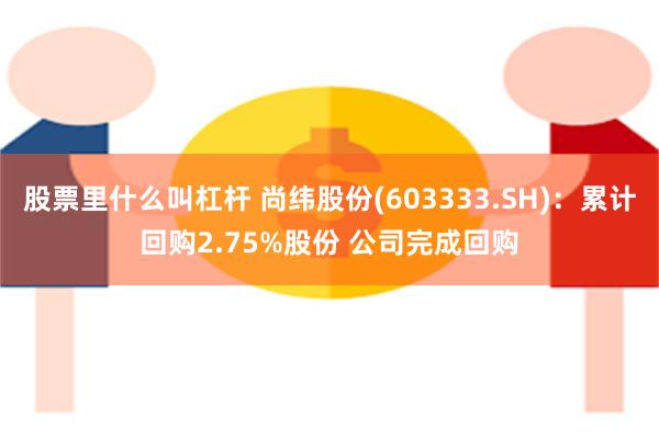 股票里什么叫杠杆 尚纬股份(603333.SH)：累计回购2.75%股份 公司完成回购