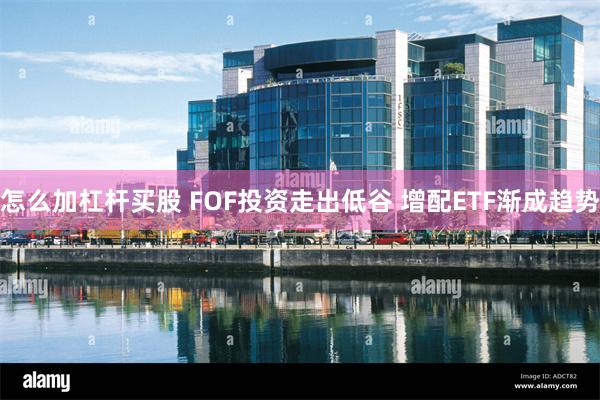 怎么加杠杆买股 FOF投资走出低谷 增配ETF渐成趋势