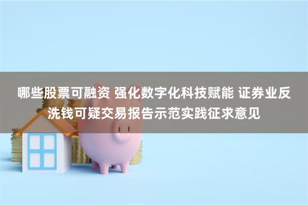 哪些股票可融资 强化数字化科技赋能 证券业反洗钱可疑交易报告示范实践征求意见